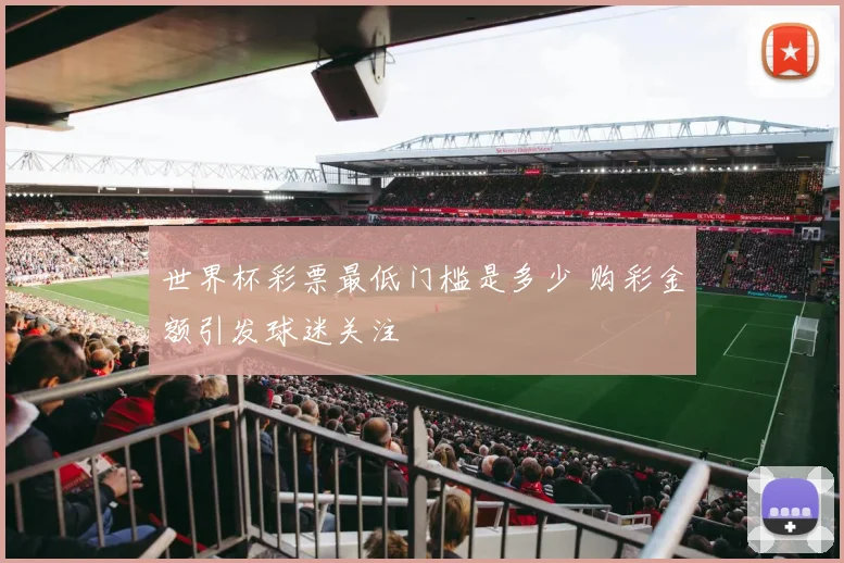 世界杯彩票最低门槛是多少 购彩金额引发球迷关注