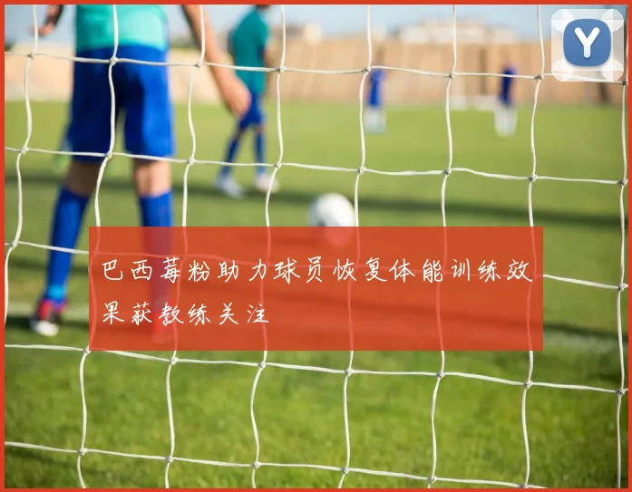巴西莓粉助力球员恢复体能训练效果获教练关注