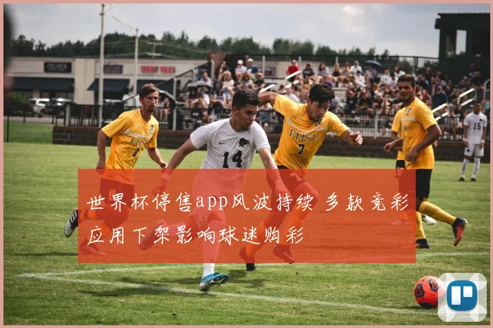 世界杯停售app风波持续 多款竞彩应用下架影响球迷购彩