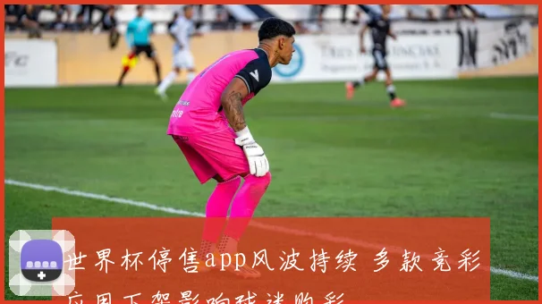 世界杯停售app风波持续 多款竞彩应用下架影响球迷购彩
