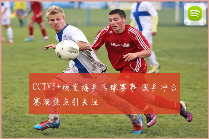 CCTV5+线直播乒乓球赛事 国乒冲击赛场焦点引关注