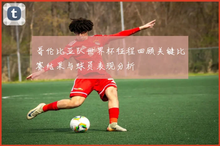 哥伦比亚队世界杯征程回顾关键比赛结果与球员表现分析