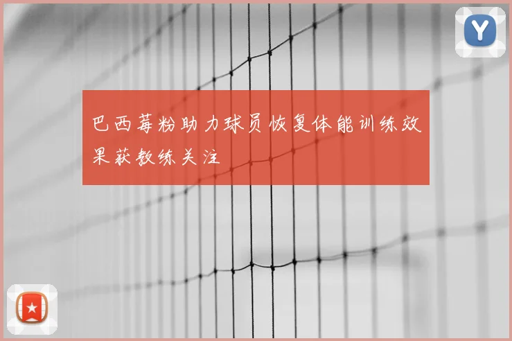 巴西莓粉助力球员恢复体能训练效果获教练关注